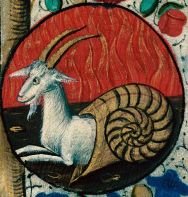 Medeival image of a goat but with a snail rear end.