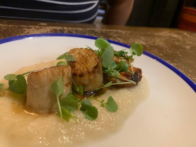 a low angle photo of the scallops starter from The Abbeville Clapham. The Scallops are sat on an onion puree with some watercress on top